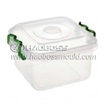 Plastic Container Mould 10