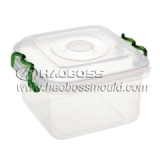 Plastic Container Mould 10