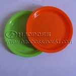 Plastic Plate Mould 05