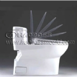 Toilet Mould 07