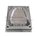 Toilet Mould 03