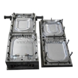 Toilet Mould 04