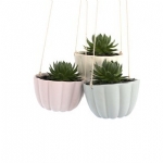 Planter mould 05